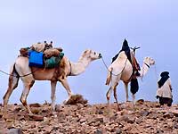 hoggar