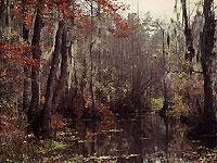 bayou