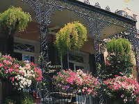 balcon fleurie